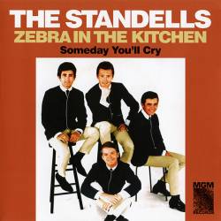 The Standells : Zebra In The Kitchen